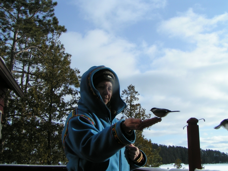 hand feeding a black-capped chickadee in winter